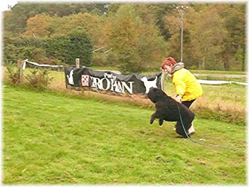 Elevage du CLOS DE LA LUETTE - COPYRIGHT DEPOSE